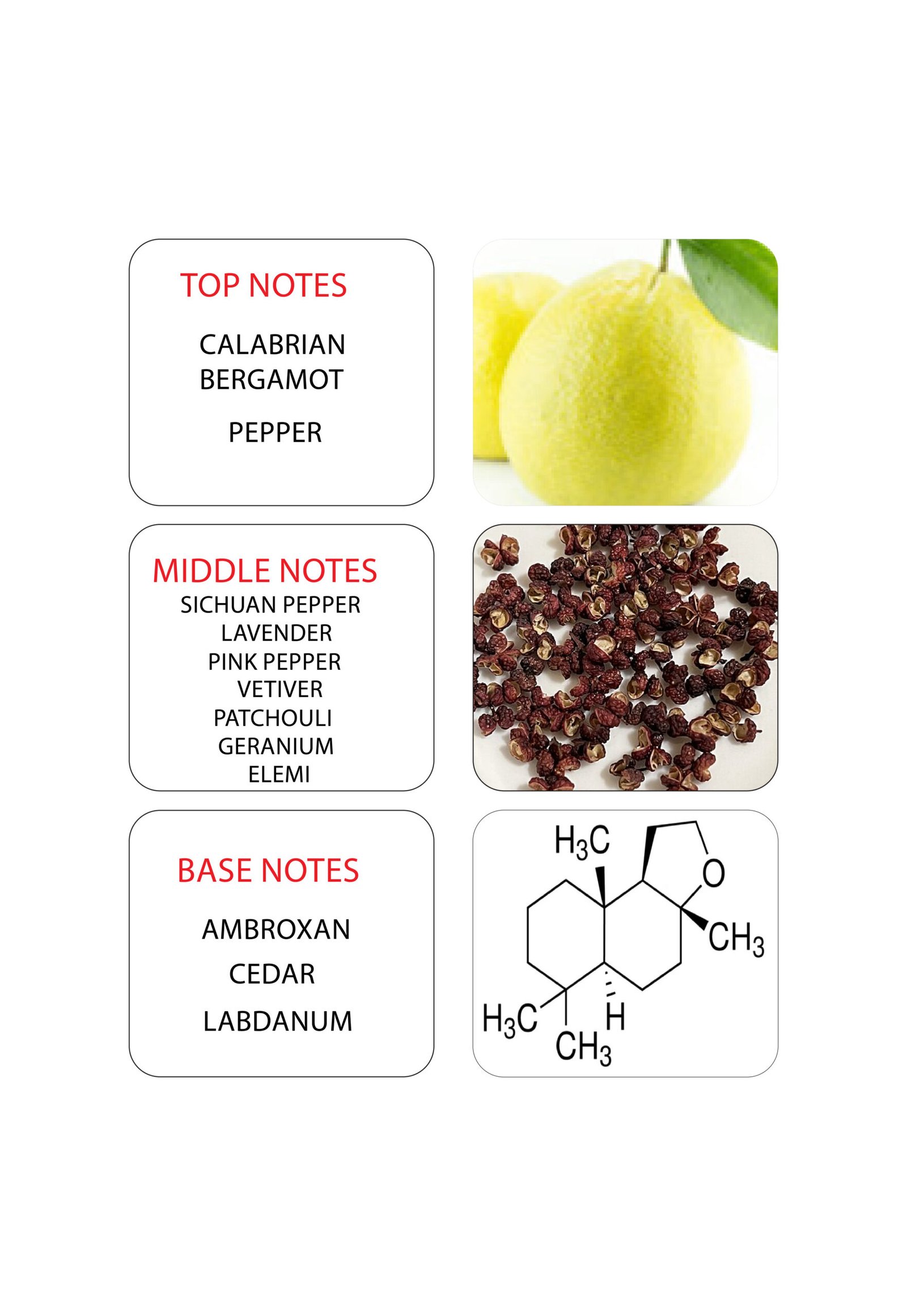 The Sultan <br>Inspired by Sauvage Dior - Image 3